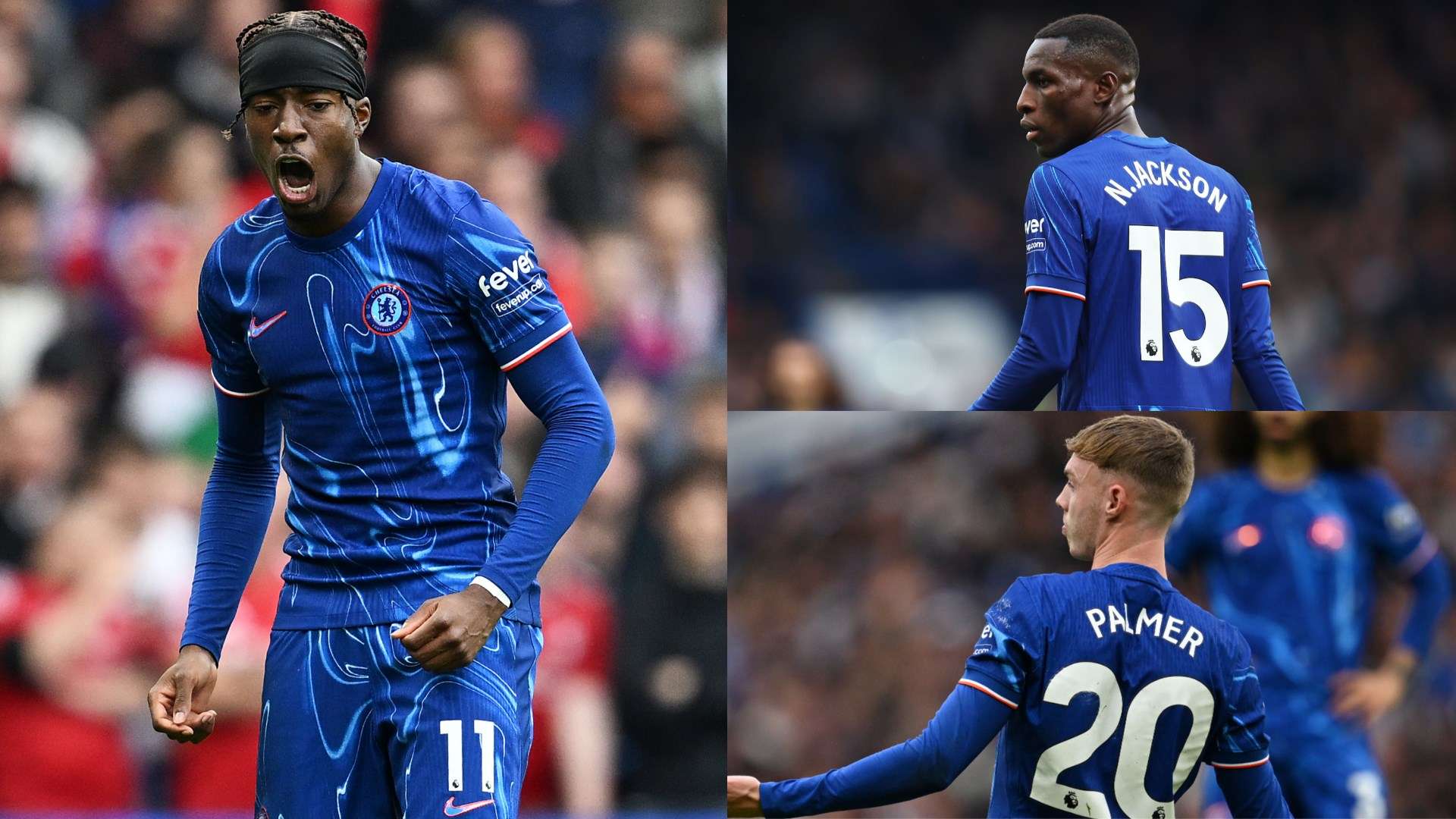 质和出众的 质和出众的